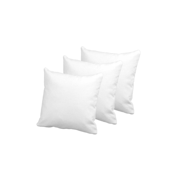 Exclusive Cushion (14X14)