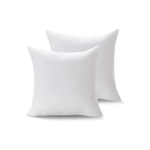 Exclusive Cushion (16X16)