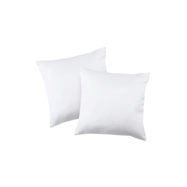 Exclusive Cushion (20X20)