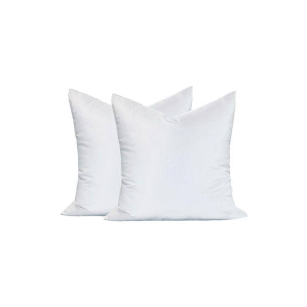 Exclusive Floor Pillow (24X24)